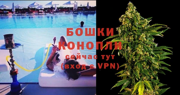 PSILOCYBIN Нея