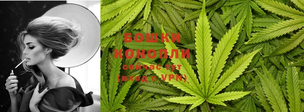 молекула духа Нефтегорск
